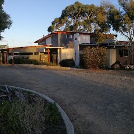 Swansea Backpackers Hostel Exterior photo
